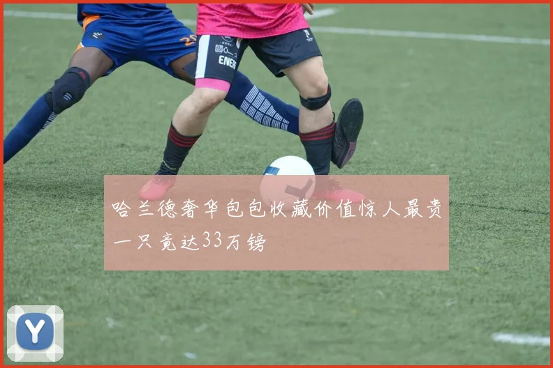 哈兰德奢华包包收藏价值惊人最贵一只竟达33万镑