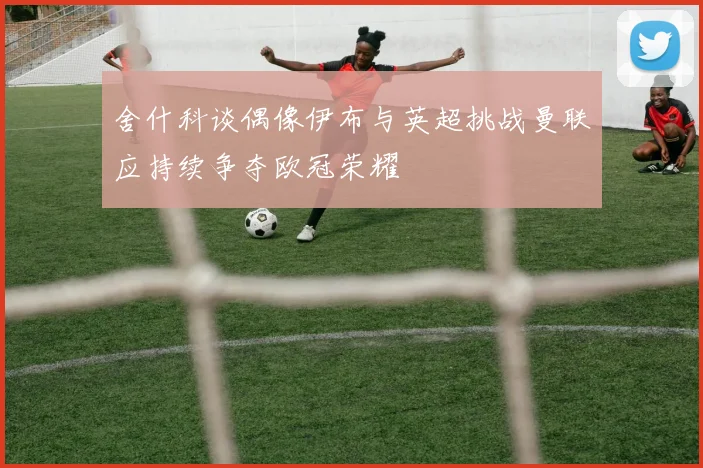 舍什科谈偶像伊布与英超挑战曼联应持续争夺欧冠荣耀