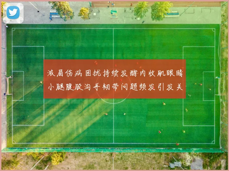 浓眉伤病困扰持续发酵内收肌眼睛小腿腹股沟手韧带问题频发引发关注